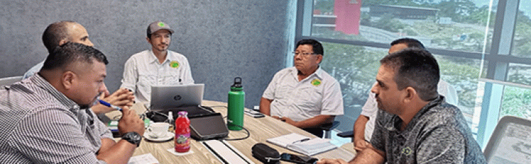 Reunión de Junta Directiva del Colegio de Ingenieros Forestales de Panamá (CIFP)